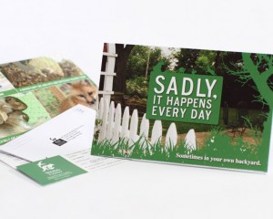sadly promotional mailer print design by ocreations in pittsburgh