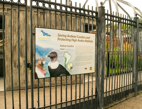 National Aviary Condor Court Outdoor Sign
