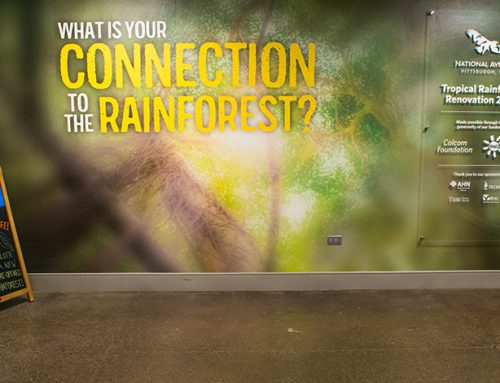 National Aviary Tropical Rainforest Renovation