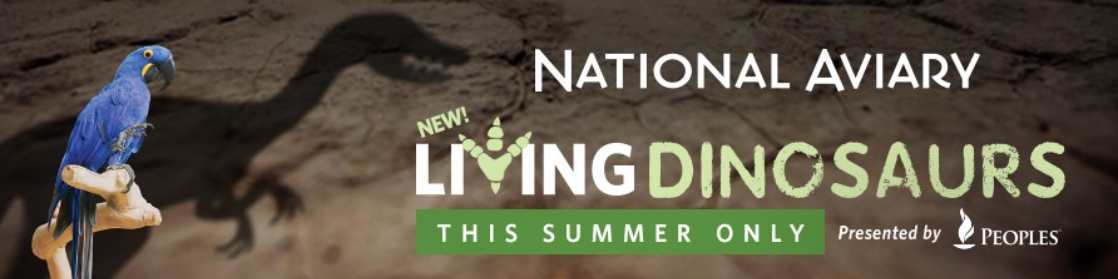 National Aviary 2019 summer campaign living dinosaurs digital ads